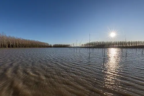 Pomponesco (Mantova)