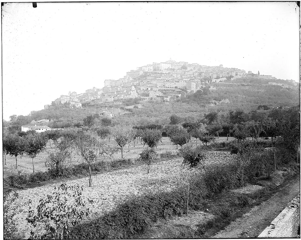 Trevi (Perugia)
