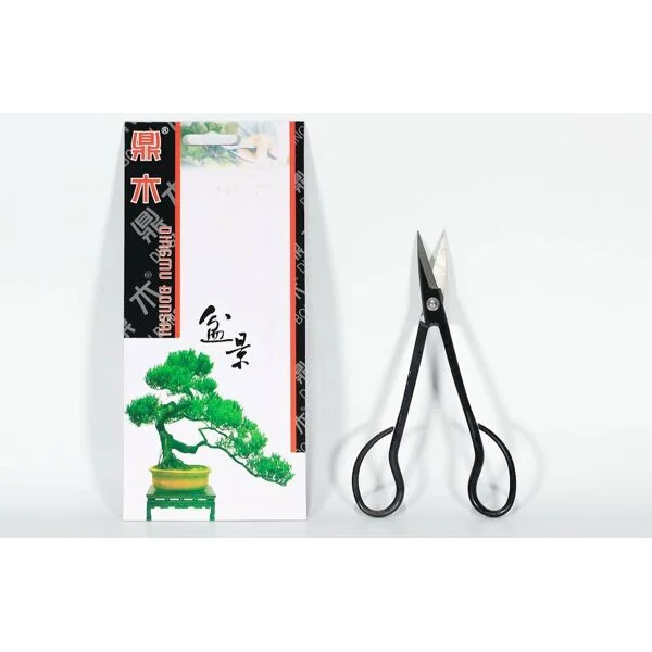 POLLICE VERDE Forbice Bonsai Per Rametti Semi-professionale 180 Mm