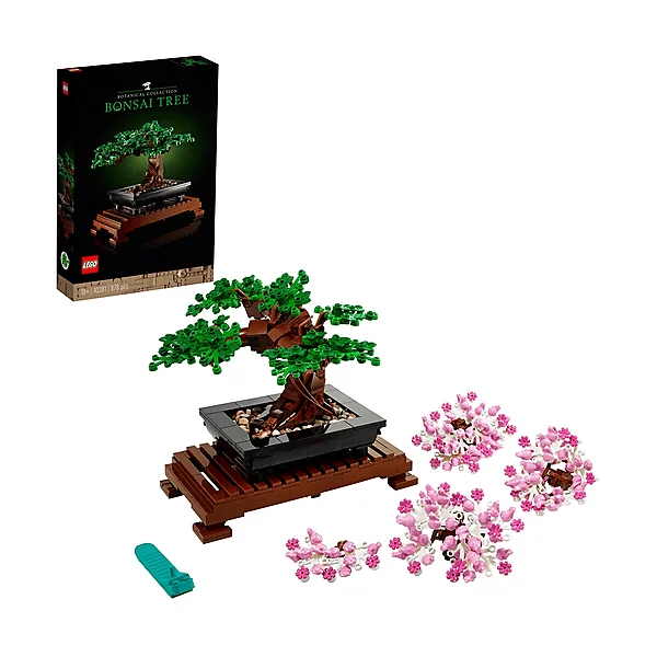 Bonsai: attrezzi e set