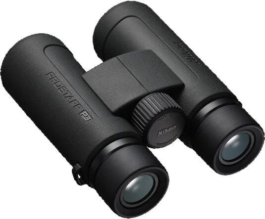 Binocolo