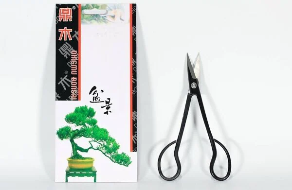 POLLICE VERDE Forbice Bonsai Per Rametti Semi-professionale 180 Mm