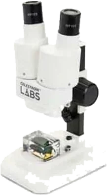 Microscopio