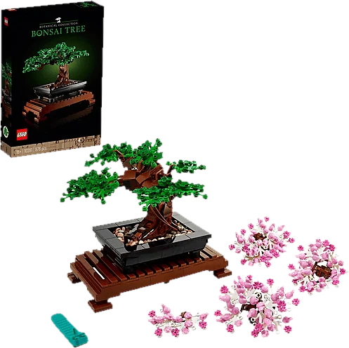 Bonsai: attrezzi e set