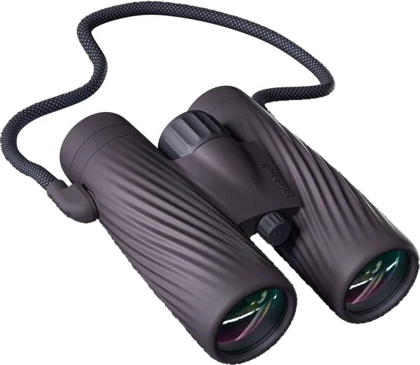 Bushnell A5 10x42, Onyx Black, binocolo